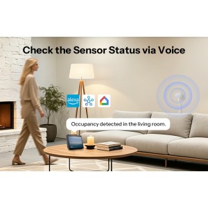 SONOFF SNZB-06P24 ZigBee датчик присутствия, 24GHz, 5V 0.5A