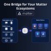 Sonoff Bridge Max - новый умный шлюз ZigBee, Matter, Home Assistant, Apple Home, Google Home